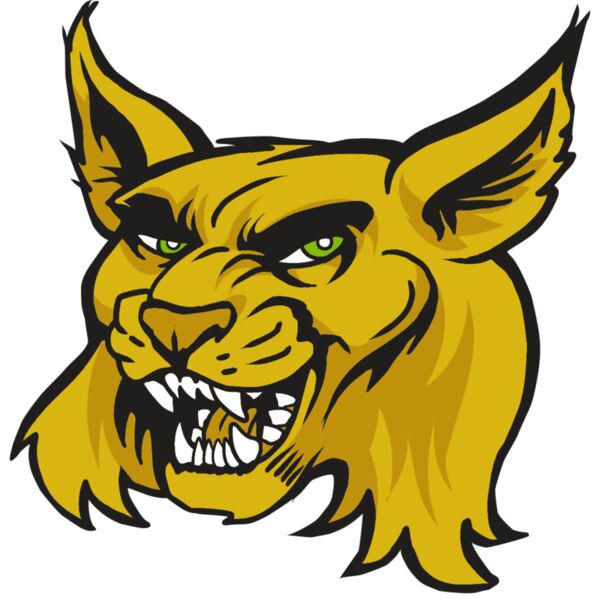 AR30 WILDCAT 03 RQC Thumbnail